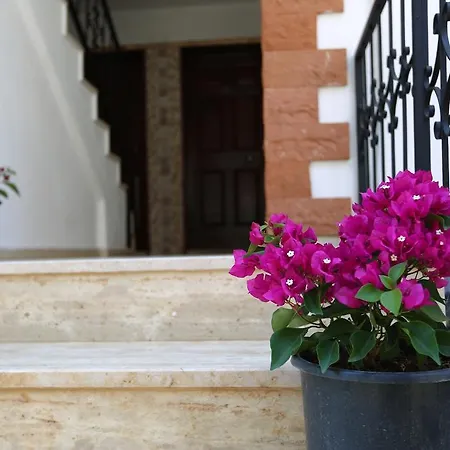 Limon Apart * Akyaka