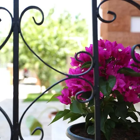 Apartman Limon Apart