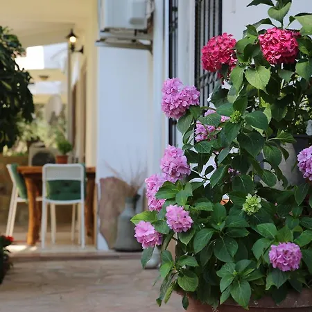 Limon Apart Akyaka (Mugla)